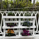 Orchidea Holiday home