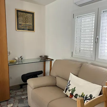 Orchidea * Viareggio