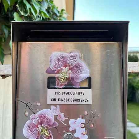 Holiday home Orchidea *