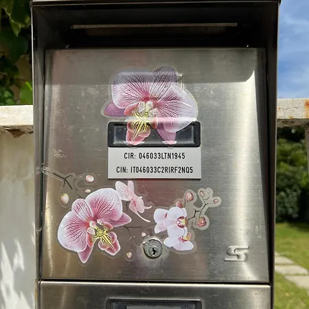 Orchidea * Viareggio