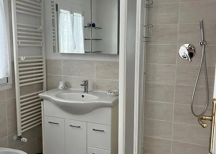 Orchidea 维亚雷焦