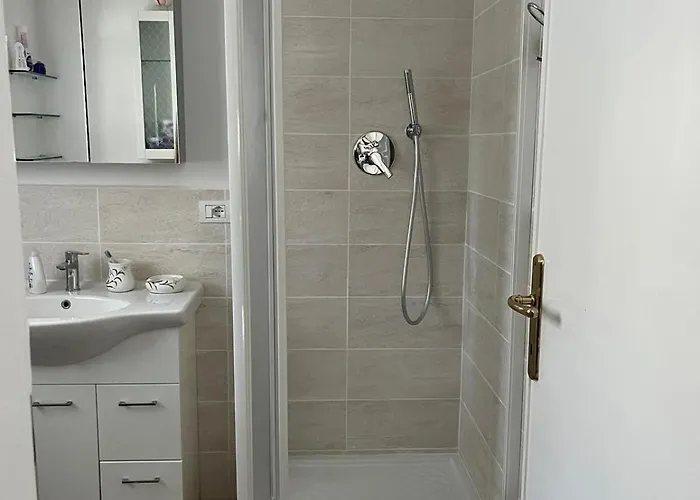 Orchidea * 维亚雷焦