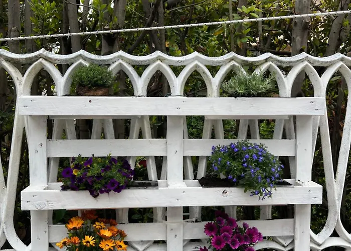 Orchidea Casa vacanze