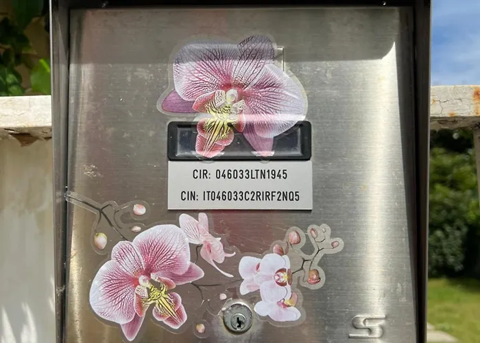 Orchidea * Виареджо