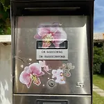 Orchidea * Viareggio