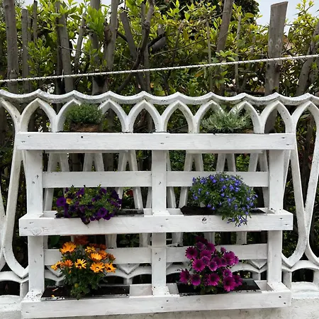 Orchidea Holiday home